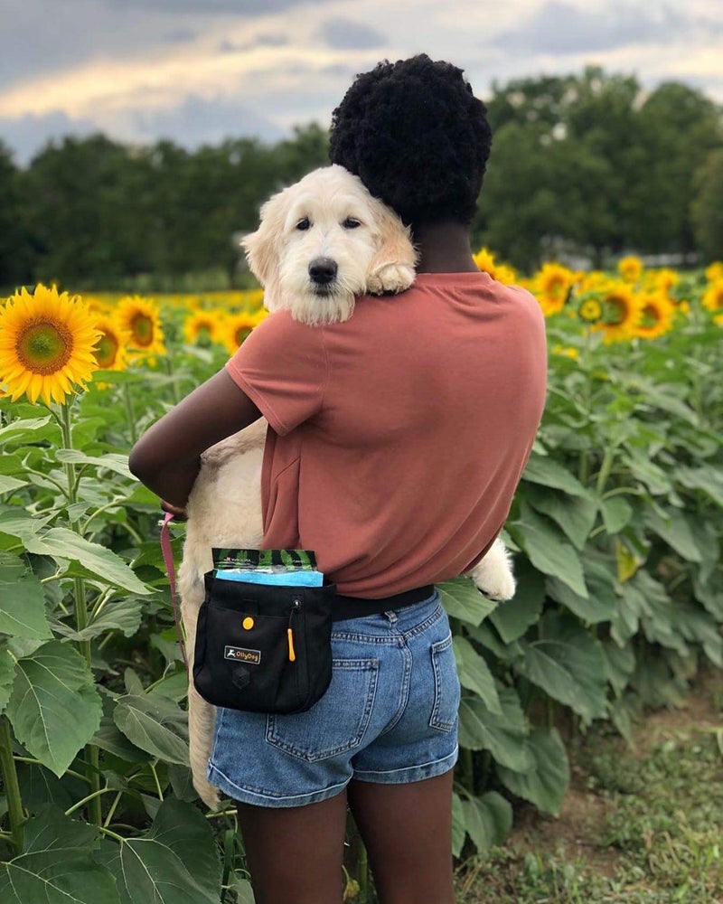 OllyDog Backcountry Day Bag | Hands-Free Dog Training Treat Pouch | Fanny/Hip Pack with Zipper Closure & Built-in Poop Bag Dispenser | Removable Waist Clip (Raven) - Image 5